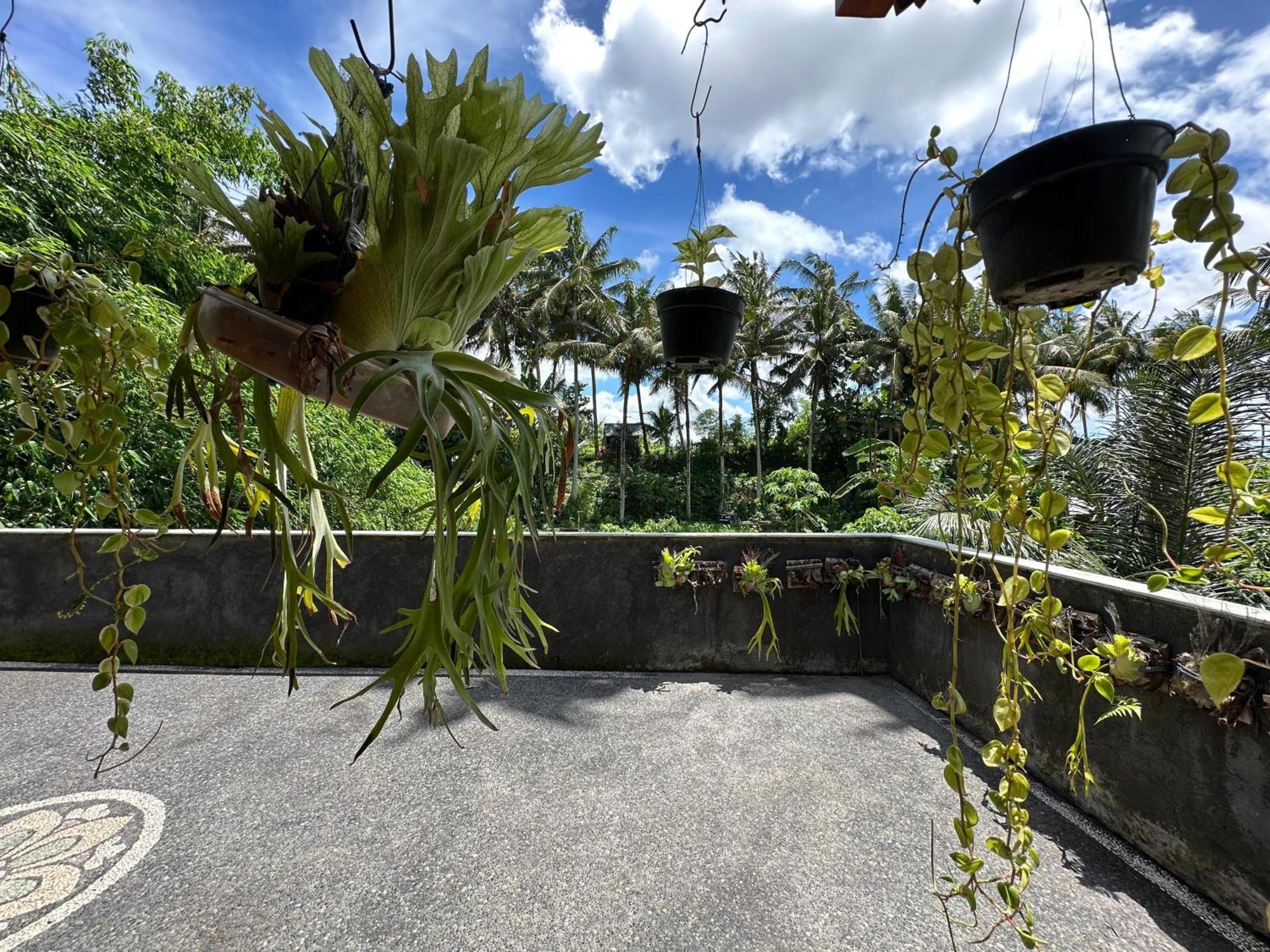 Tagel Karsa House Hotel Ubud Kültér fotó