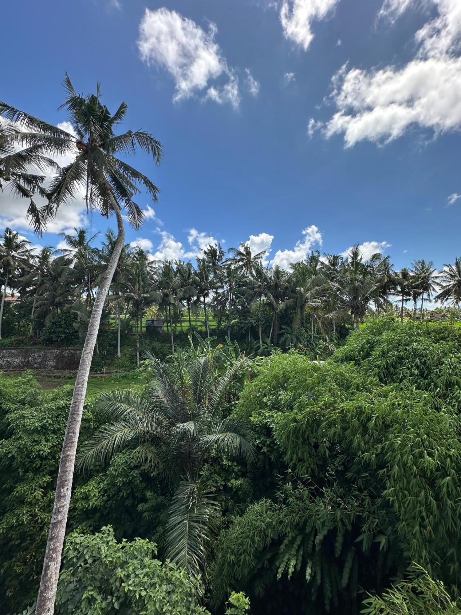 Tagel Karsa House Hotel Ubud Kültér fotó